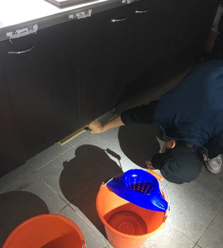 老鼠板投遞